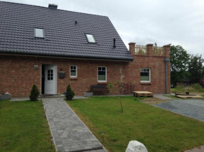 Kornblume in Rabenholz